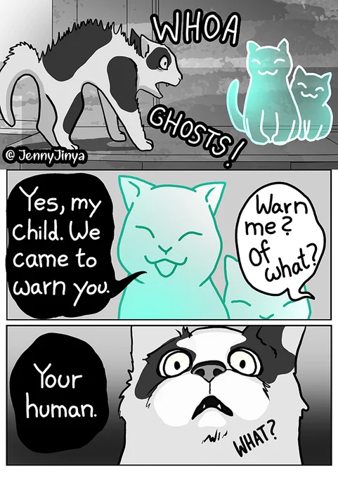 Is your cat also misguided by ghosts? Make sure that your cat does not start conversations with your furniture and feed your pet as regularly as possible. Bored ghost cats are the biggest risk to the well-being and coexistence of all cats and their owners. 