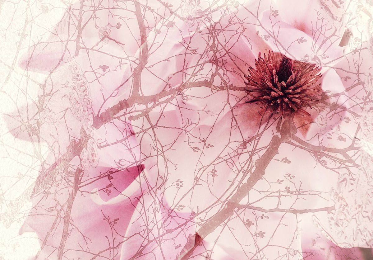 Sam_Alexandra23's tweet photo. Good day Friends & Photographers! It's #Creative Thursday #challenge today. Share your creative images that do not use Ai. Here I simply combined 2 images together. Have a fun day and be kind to someone today. #Photography "Labyrinth of Memories" & "Echos of Japan" https://t.co/eh55anpzT7