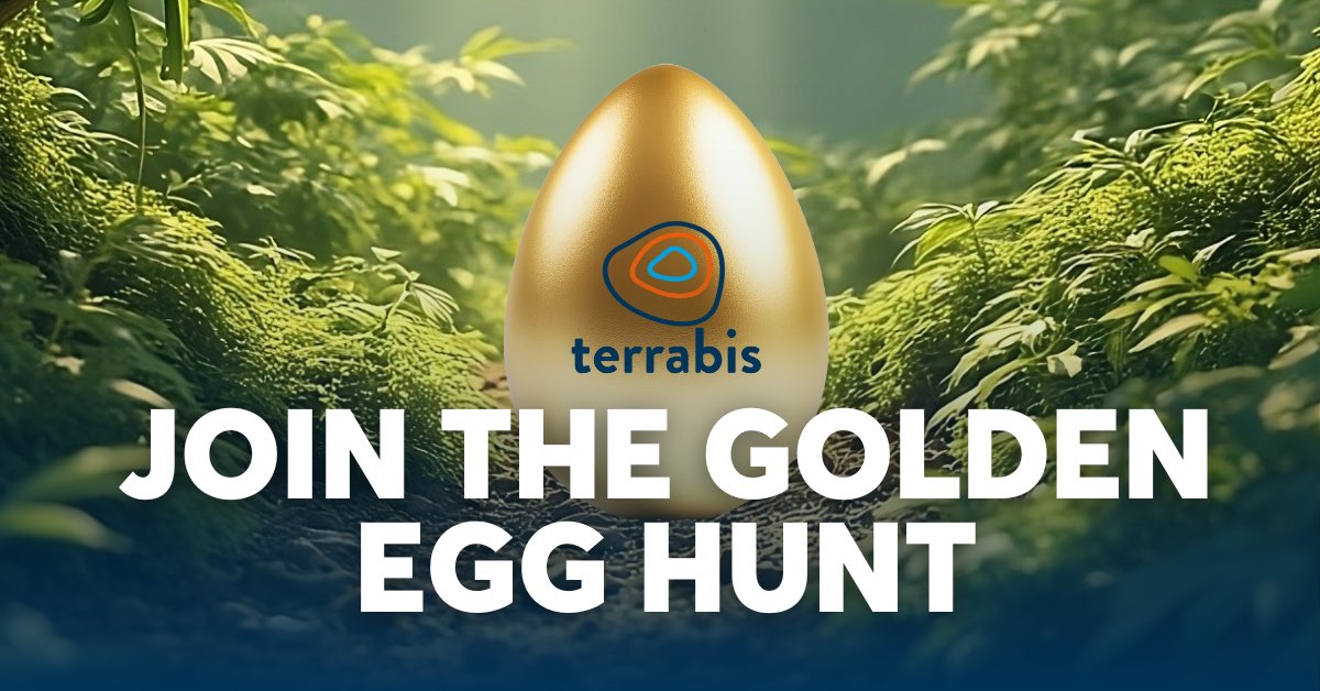 TerrabisIL tweet media