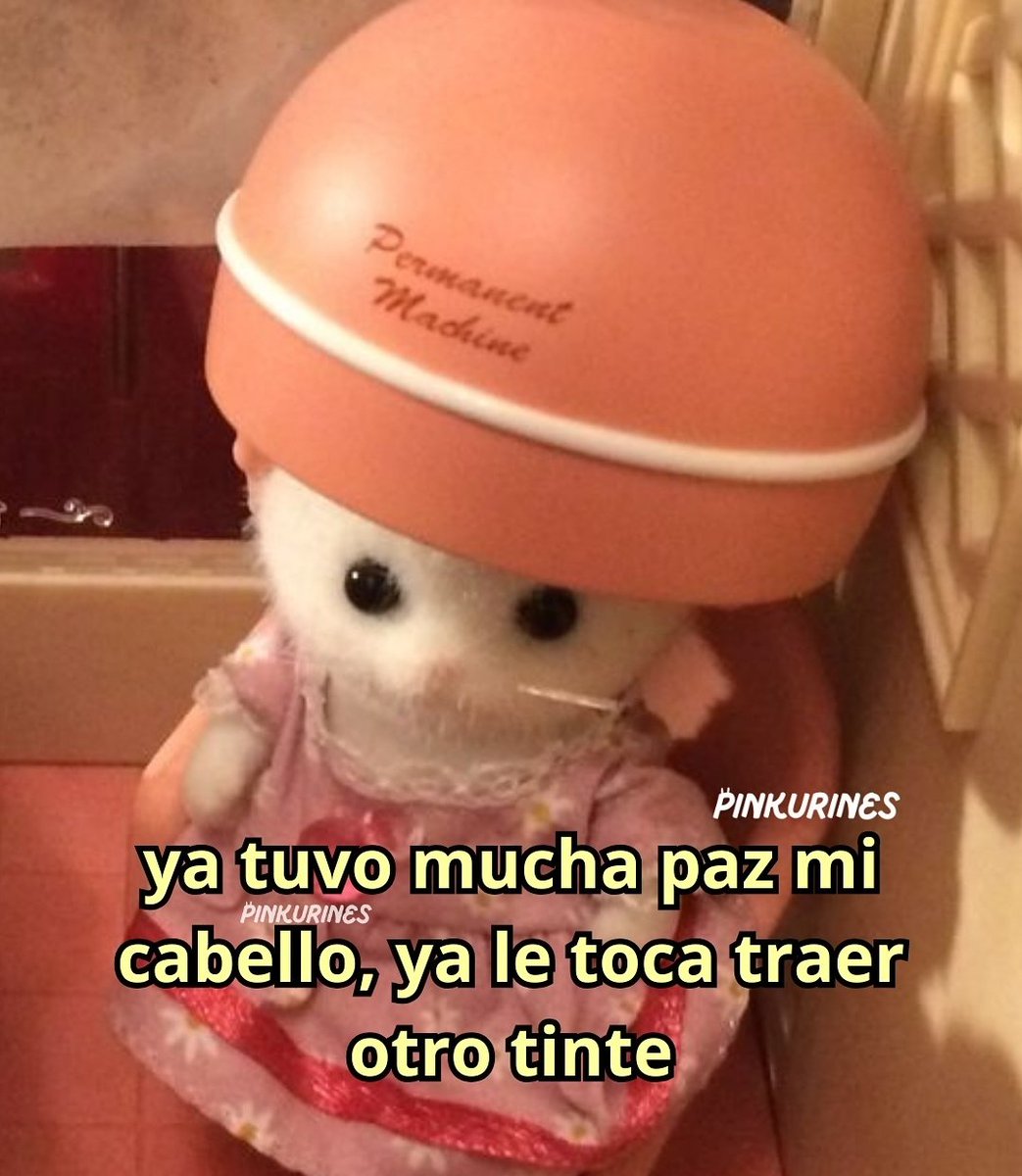 Meme Miniatura (@mememiniatura) on Twitter photo 