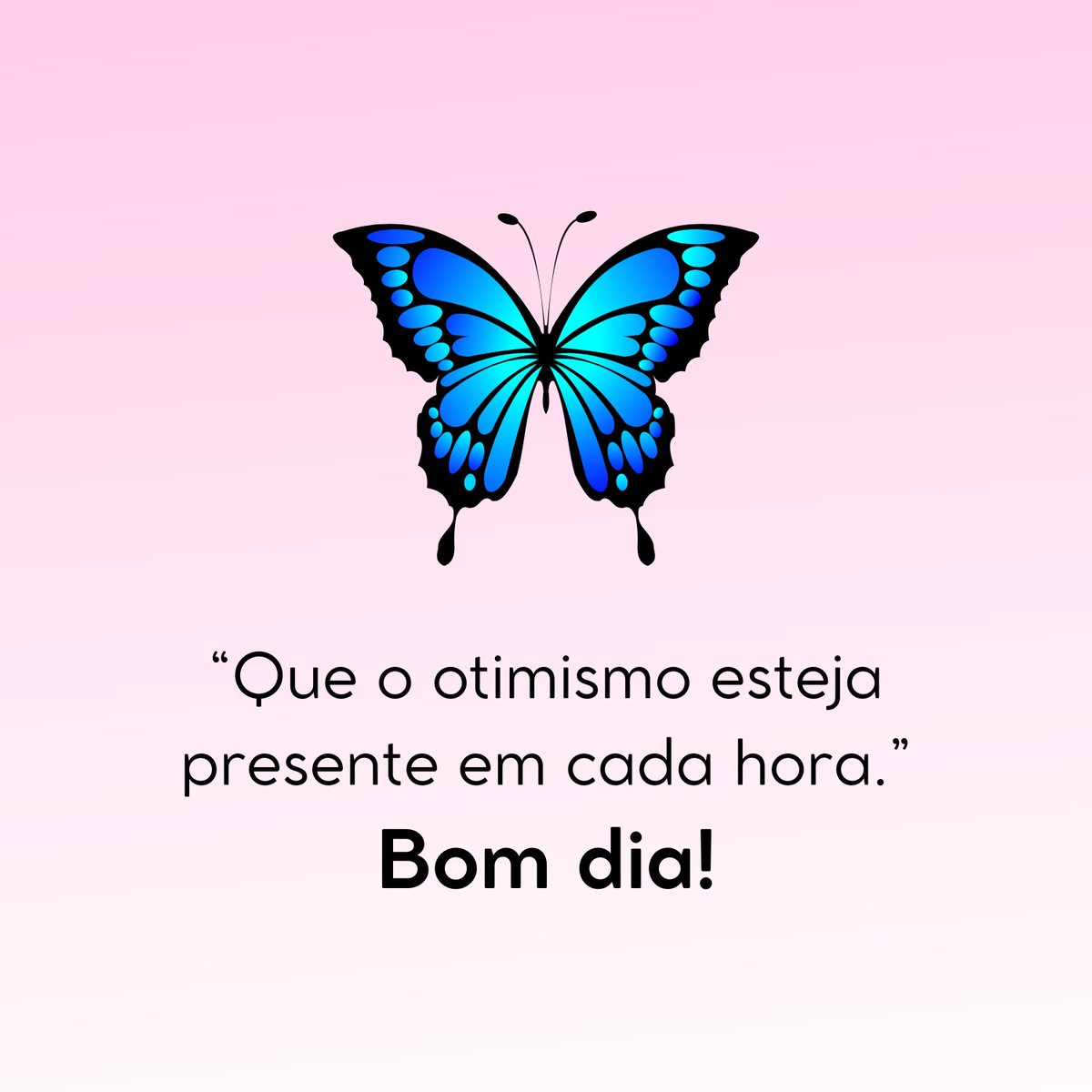 Butterfly_frase's tweet photo. Bom dia. https://t.co/ji0VRyVQPS