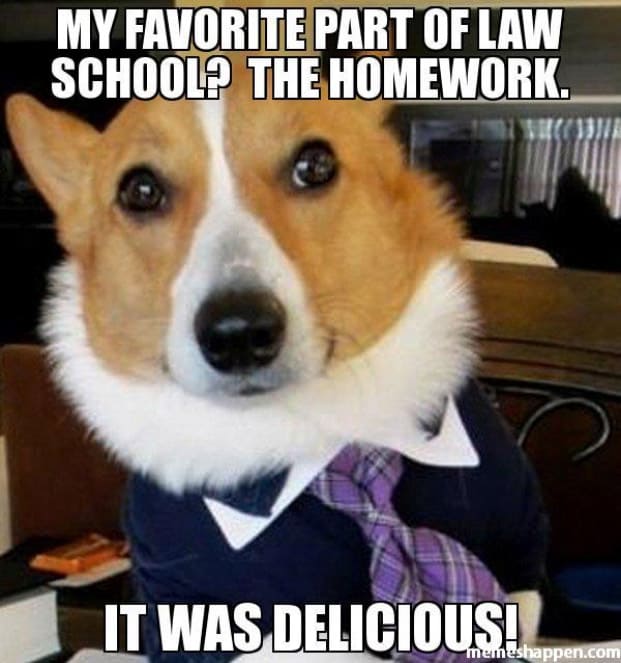Sorry! My dog ate my homework. 🤷‍♂️ Happy National Pet Day.
