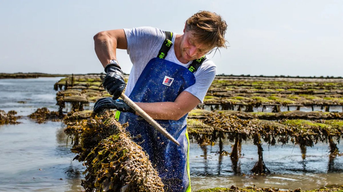 Dominique Hutin tweet media