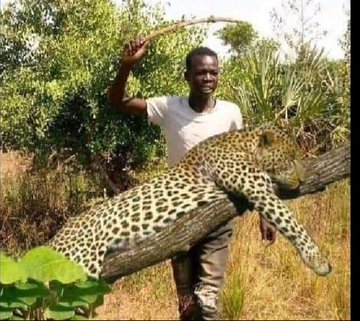 masaku_'s tweet photo. "Amka hapo uende uume kasongo. Failure" https://t.co/2FoASvqQXk