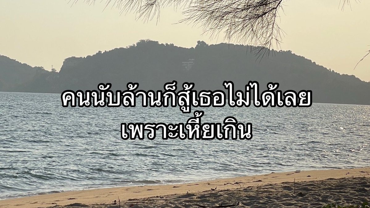 기 tweet media