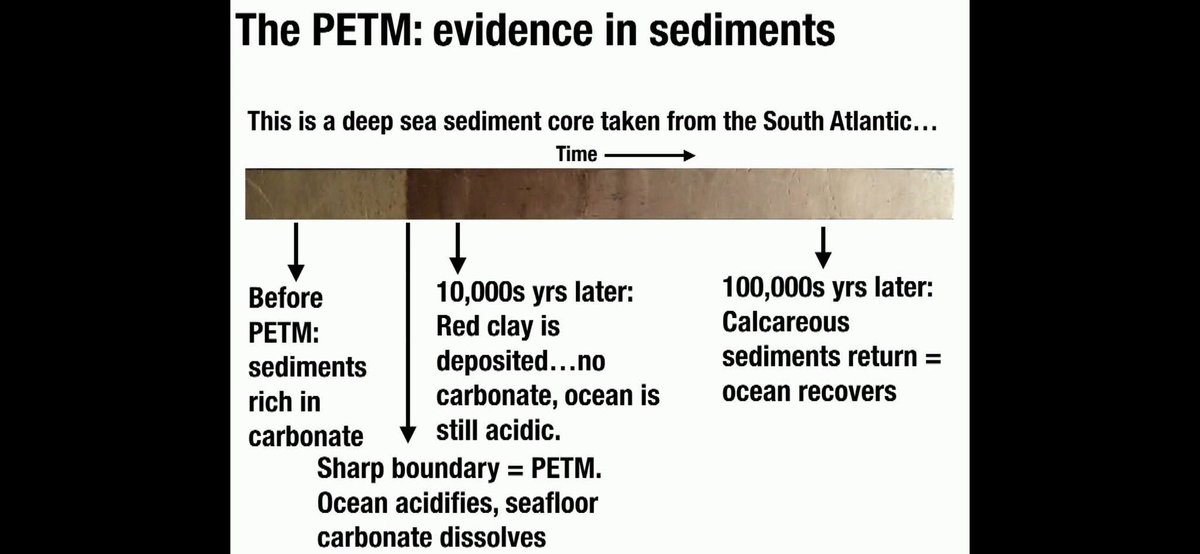 pmagn's tweet photo. Yeah yeah
.@metoffice why don't you tell people the truth...
The future is f*****
👉🏾We can clearly see 1.5° is going to cause collapse of civilization 😞
👉🏾And we're going to 3° plus rapidly
👉🏾what do you think that means 🤔 #climatedystopia #massextinctions billions of deaths