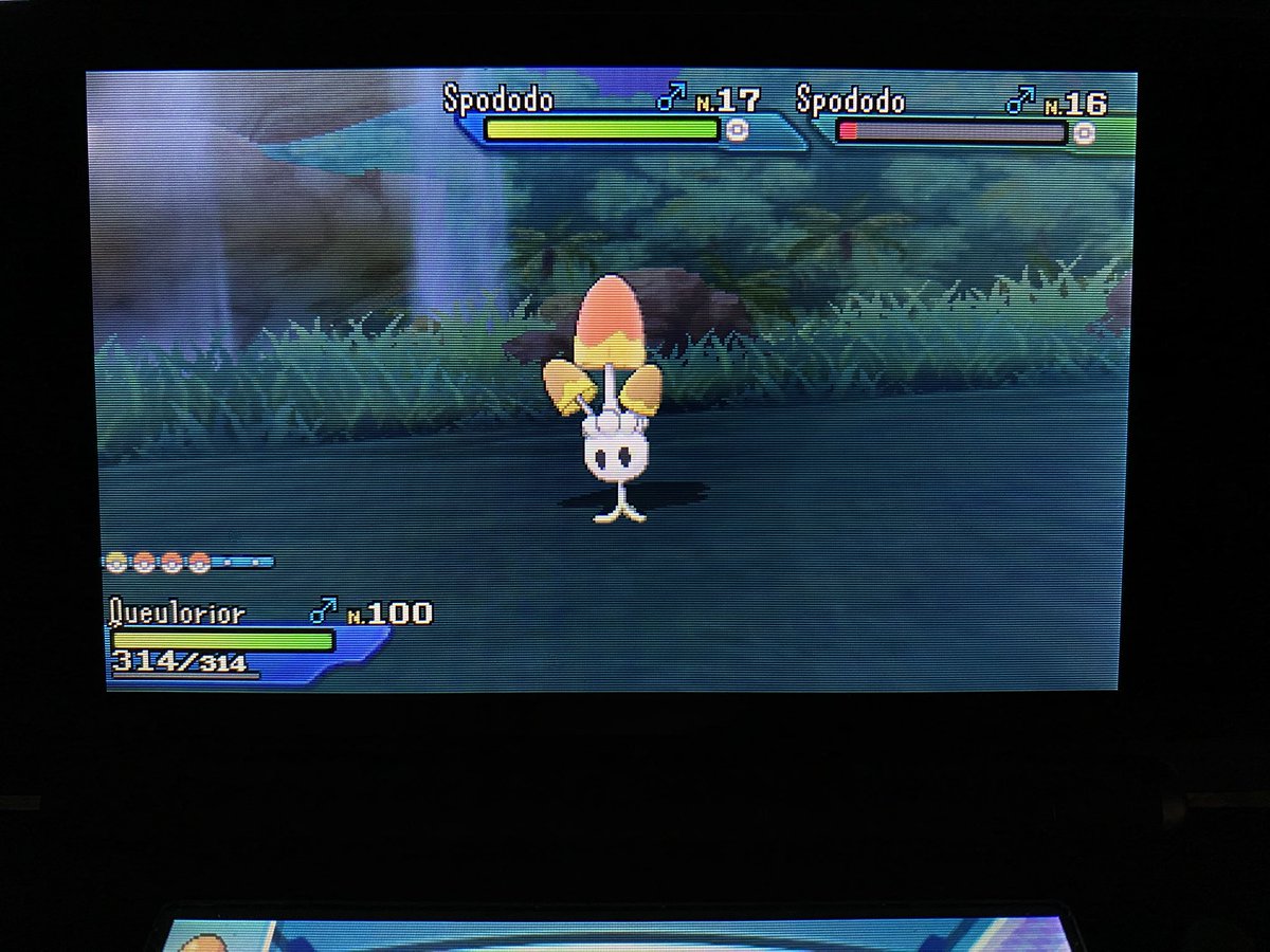Jinx_031's tweet photo. 324 rencontres en SOS ! (1/273)
Il a évolué en Lampignon pour finir la famille !

@TheHolomovement @LesShasseurs https://t.co/OMfEzJ6Xua