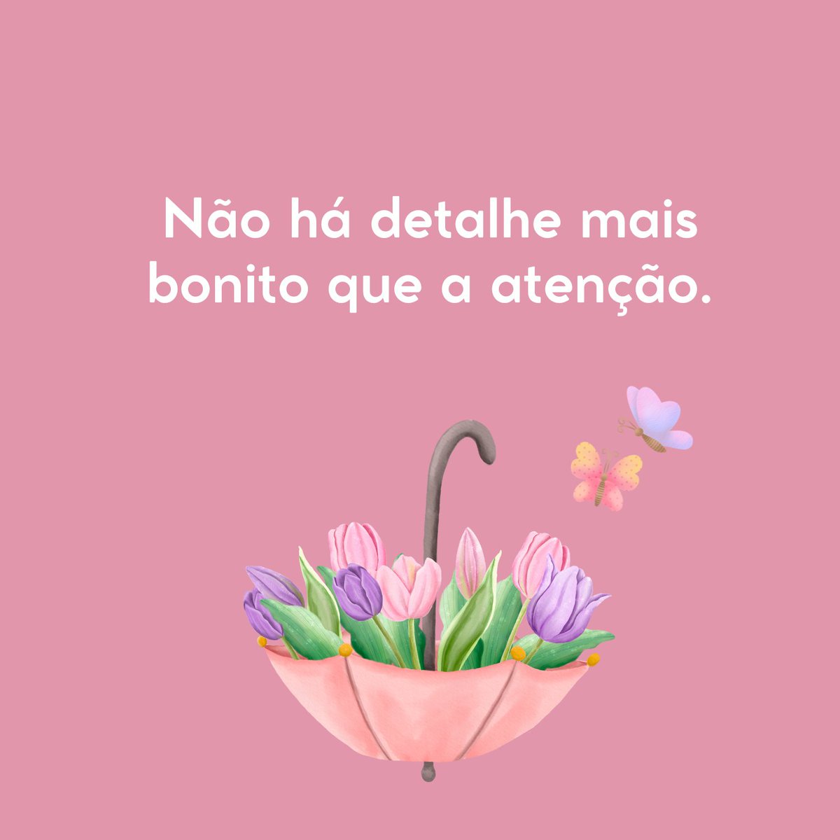 Butterfly_frase's tweet photo. Não há detalhe mais bonito que a atenção. https://t.co/G9523tISVI