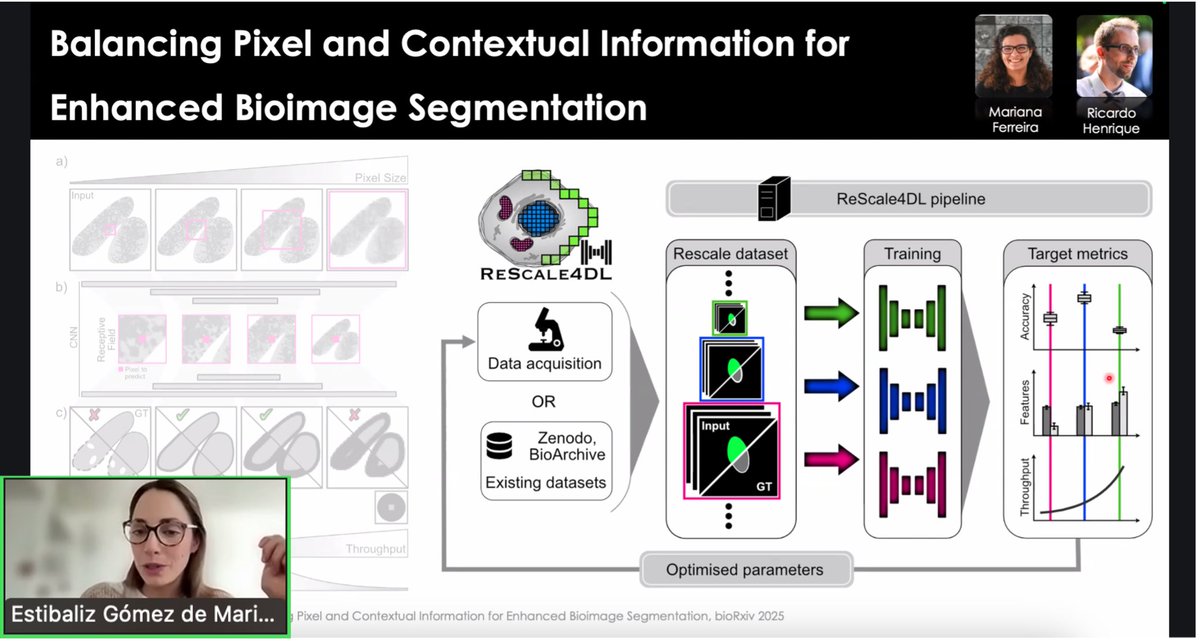 AI-driven Optical Biology Lab (@aiopticalbiolab) on Twitter photo Following the release of <a href="/m_g_ferreira/">Mariana G Ferreira</a> and <a href="/gomez_mariscal/">Estibaliz Gómez de Mariscal, PhD</a> #ReScale4DL work, Estibaliz shared her view on "FAIR and high-quality AI-ready data for bioimage analysis" on the 4-part <a href="/AI4LifeTeam/">AI4Life Team</a> webinar series in collab with <a href="/GloBIAS_/">GloBIAS</a>✍Catch the next one at bit.ly/registration-g… Following the release of <a href="/m_g_ferreira/">Mariana G Ferreira</a> and <a href="/gomez_mariscal/">Estibaliz Gómez de Mariscal, PhD</a> #ReScale4DL work, Estibaliz shared her view on "FAIR and high-quality AI-ready data for bioimage analysis" on the 4-part <a href="/AI4LifeTeam/">AI4Life Team</a> webinar series in collab with <a href="/GloBIAS_/">GloBIAS</a>✍Catch the next one at bit.ly/registration-g…