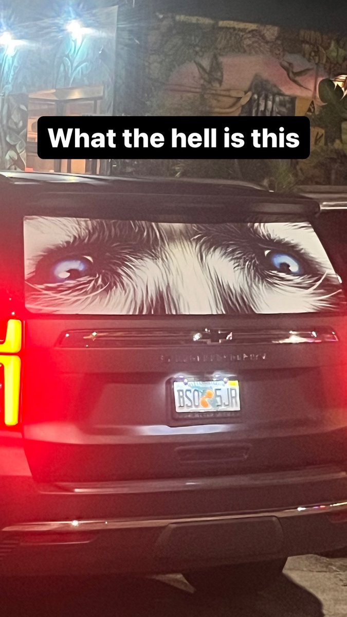 This shit scared tf outta me in Miami dawg wtf 💀