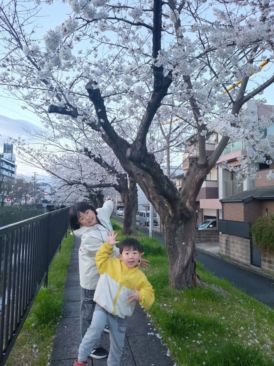 y_radtec's tweet photo. 今年も毎年のとこで撮れた。 https://t.co/xLu12kXrpb