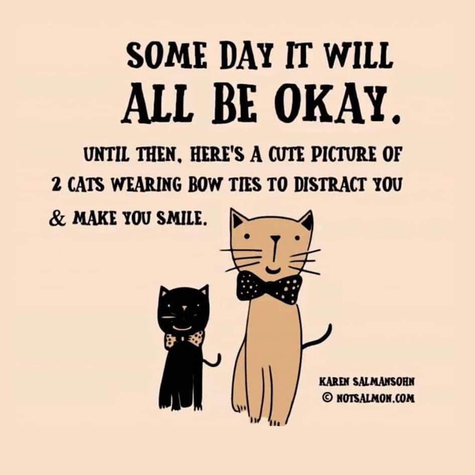 anamari800's tweet photo. I've missed a lot but someday I will make it 💞 https://t.co/SIypaNqHpt