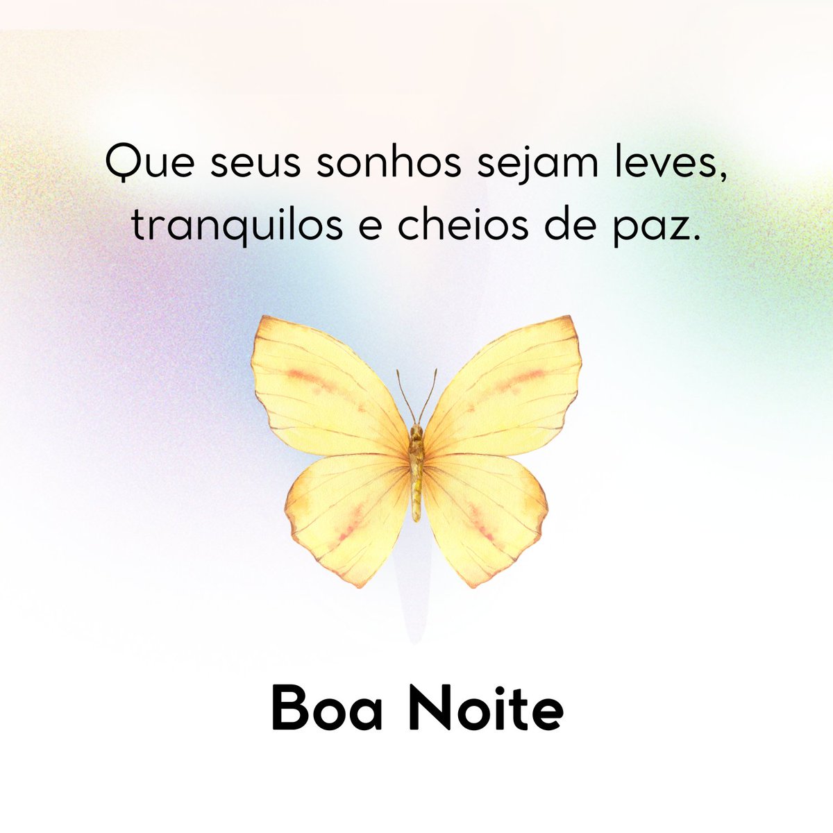 Butterfly_frase's tweet photo. Boa noite. https://t.co/k0XW6rfF9t