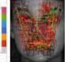 Dusty Bumps (@dusty_bumps) on Twitter photo 