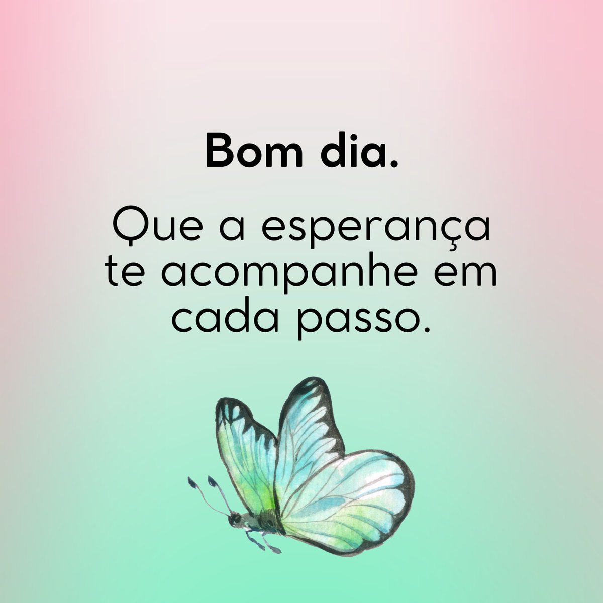 Butterfly_frase's tweet photo. Bom dia. https://t.co/yNi49XCutM