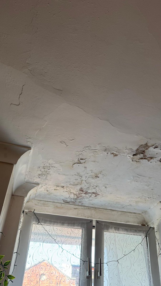 City Realtor tweet media