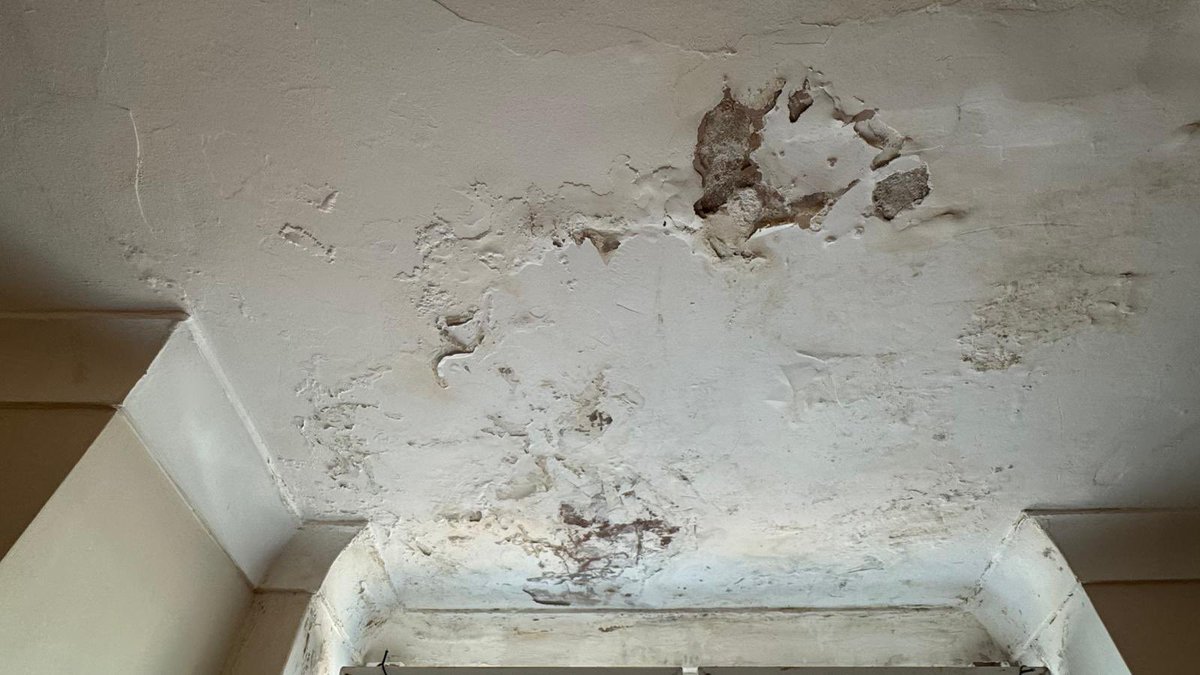 City Realtor tweet media