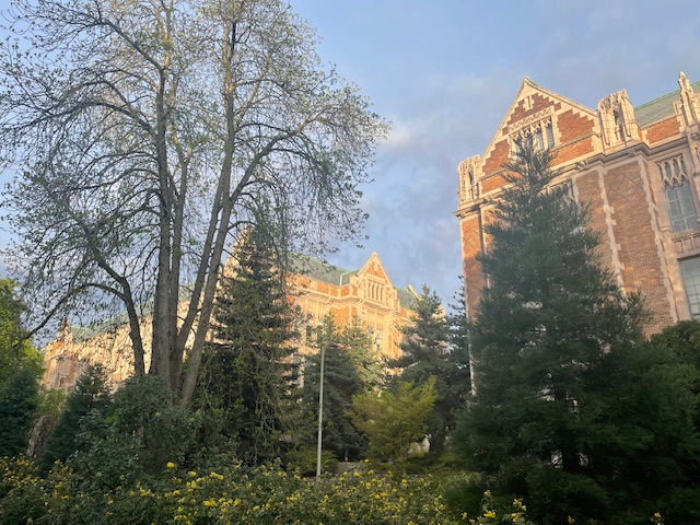 EllisonCenterUW (@ellisoncenteruw) on Twitter photo Good morning! It's a beautiful spring morning in Seattle on the first day of the <a href="/aseeestudies/">ASEEES</a> REECAS Northwest Conference at the University of Washington. Looking forward to our panels and keynote speech later this afternoon! bit.ly/3g5Dnb2 #REECASNW <a href="/UWJSIS/">UW Jackson School</a> <a href="/UWArtSci/">UW College of Arts & Sciences</a> Good morning! It's a beautiful spring morning in Seattle on the first day of the <a href="/aseeestudies/">ASEEES</a> REECAS Northwest Conference at the University of Washington. Looking forward to our panels and keynote speech later this afternoon! bit.ly/3g5Dnb2 #REECASNW <a href="/UWJSIS/">UW Jackson School</a> <a href="/UWArtSci/">UW College of Arts & Sciences</a>