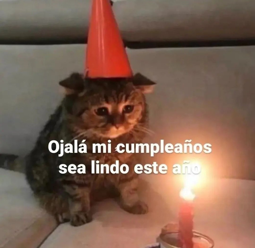 FraseSimple's tweet photo. https://t.co/M2IRUDp0N3