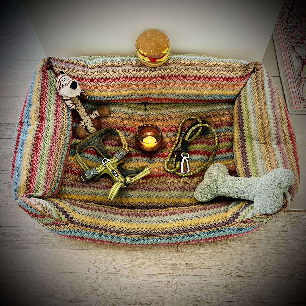 Frank (FOP) tweet media