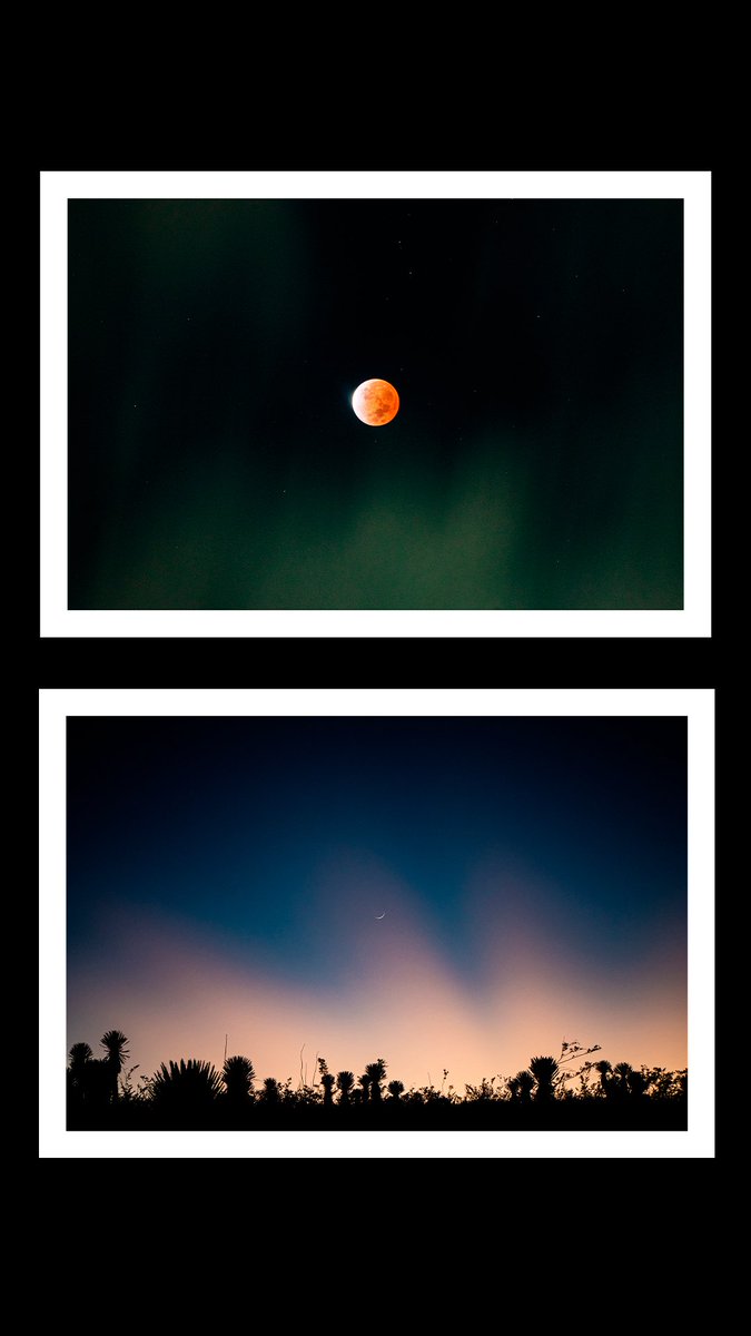 lowemustdie's tweet photo. ¡Prints disponibles!
Serie limitada, no habrá segundas ediciones. https://t.co/kqbWnpsK2l