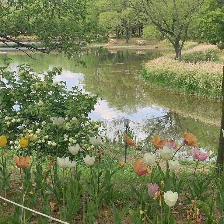 lexihan ¹²⁷ || tyongf 🪼 tweet media