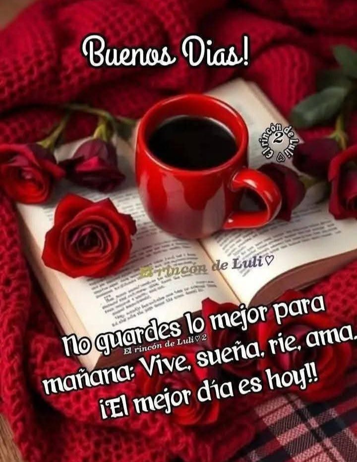 GomoraGuer21's tweet photo. Que tengas un hermoso día 🤩 https://t.co/ddlVIDVb9d