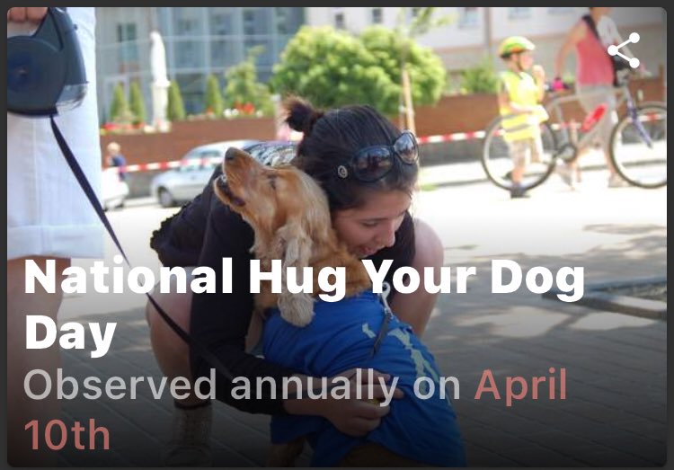 TarHeelBruin's tweet photo. National #hugyourdogday

I 🤷🏻‍♀️hug my baby 🐶 everyday!! https://t.co/LWvExDvqE2