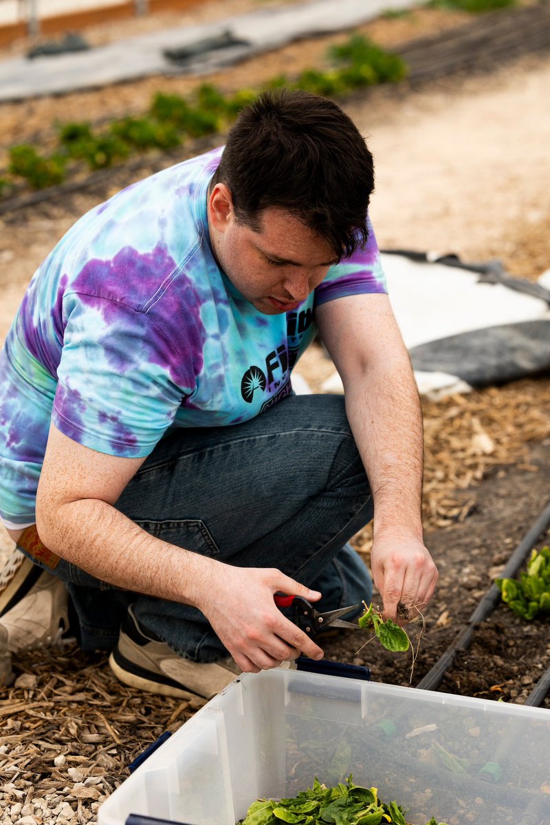 UtahIMF's tweet image. UIMF members attended a volunteer night hosted by the Center for Social Impact to learn more about agriculture and cultivation. They also prepared planting beds to grow fresh produce for UVU GRIT Garden’s Fresh Food Fridays. 
#uimf #uvu #agriculture #sustainability