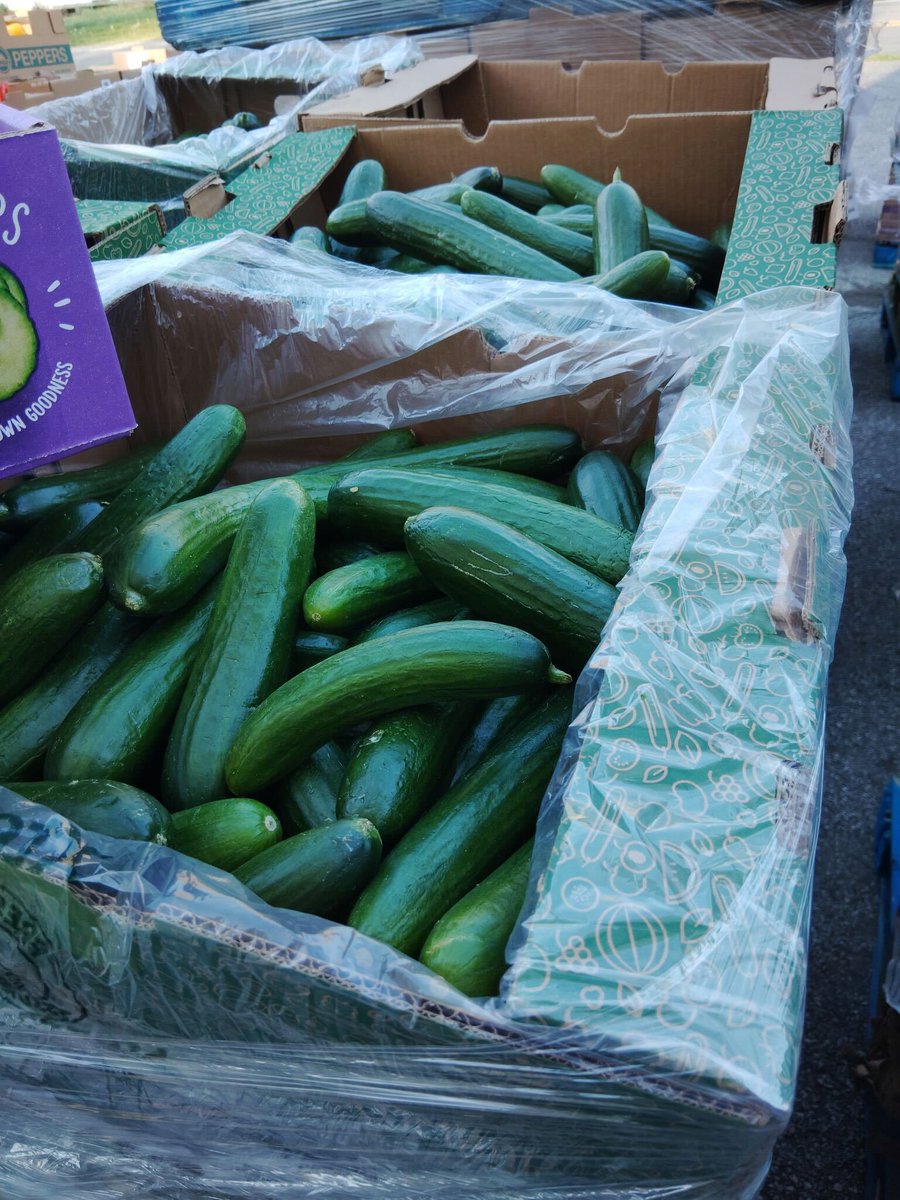 Fresh food delivery!!