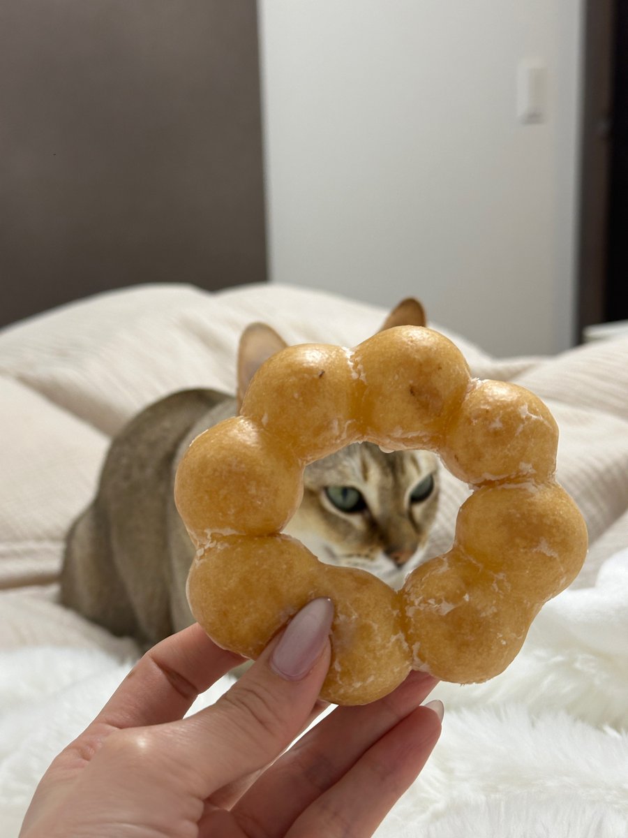 ポンデライオン🦁🍩笑 https://t.co/8eY8BRvqau