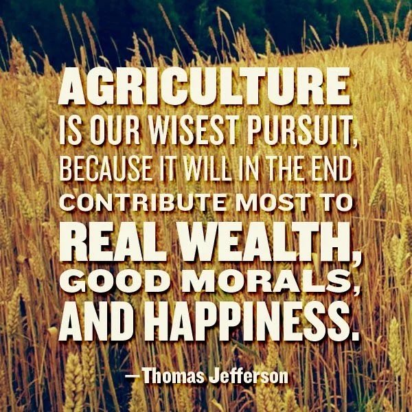 NoFarmsNoFoods's tweet photo. https://t.co/cyQ9j0EYis