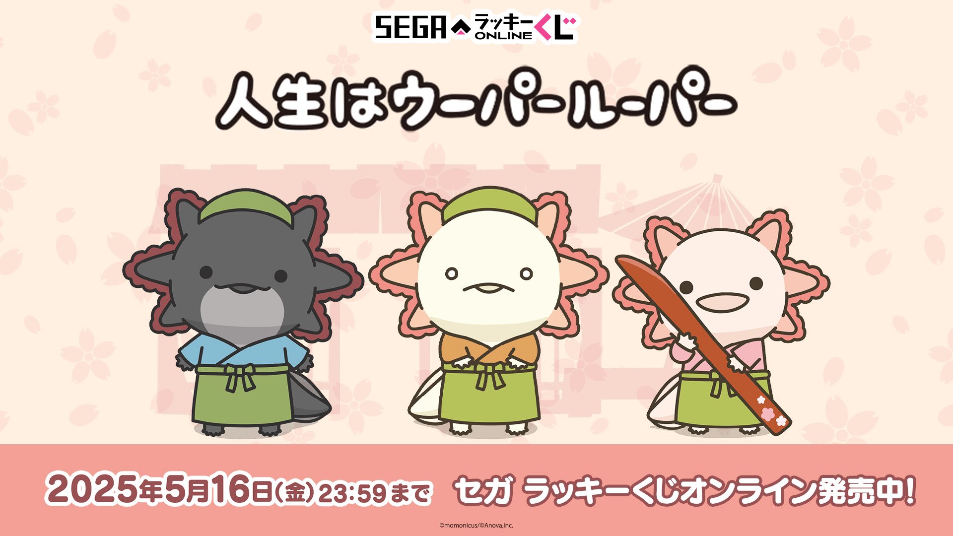 人生はウーパールーパー (@Axolotl2013) / X
