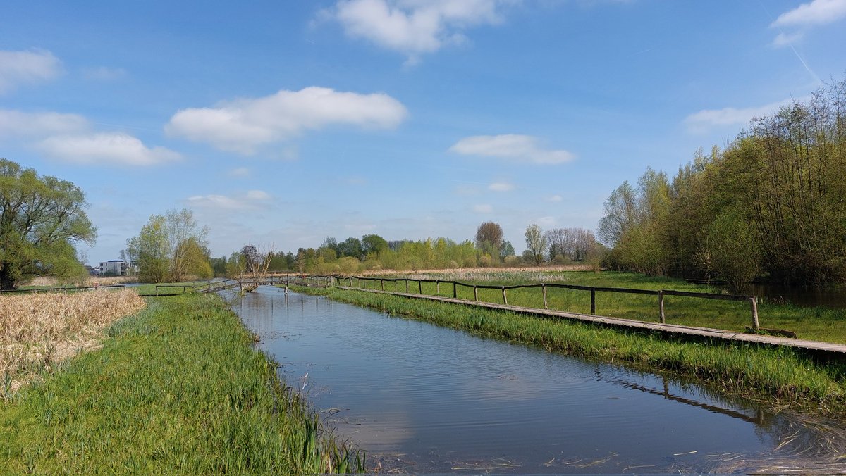 luc231255's tweet photo. #vrtweer Paddenbroek, Kluisbergen 13h50 https://t.co/pYTUgLumrJ