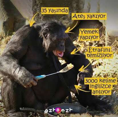 Ülkedeki +35 Şu durumda