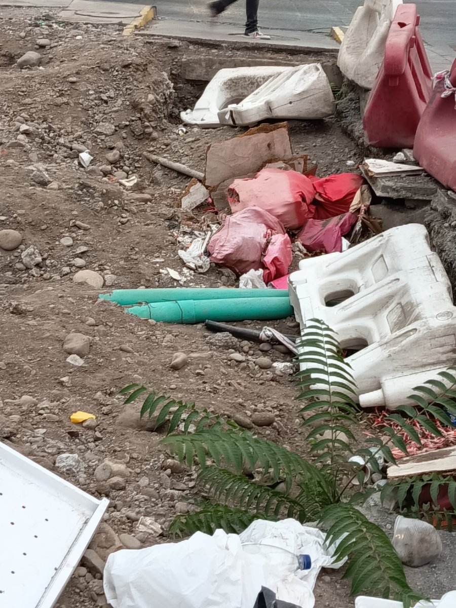 Patricia Aliaga E. tweet media