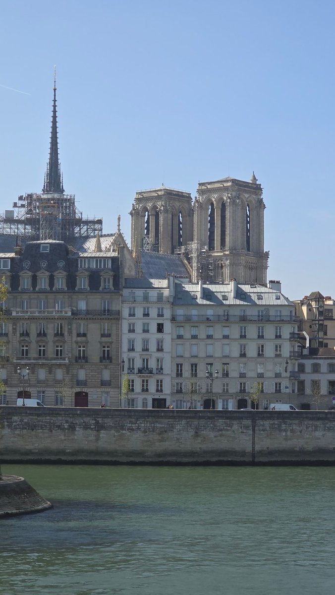 FrederiFerlicot's tweet image. Notre-Dame de Paris aujourd&apos;hui ☀️