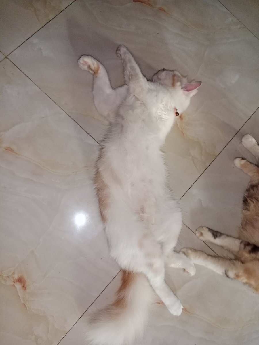 ini tidur gaya apaa ya