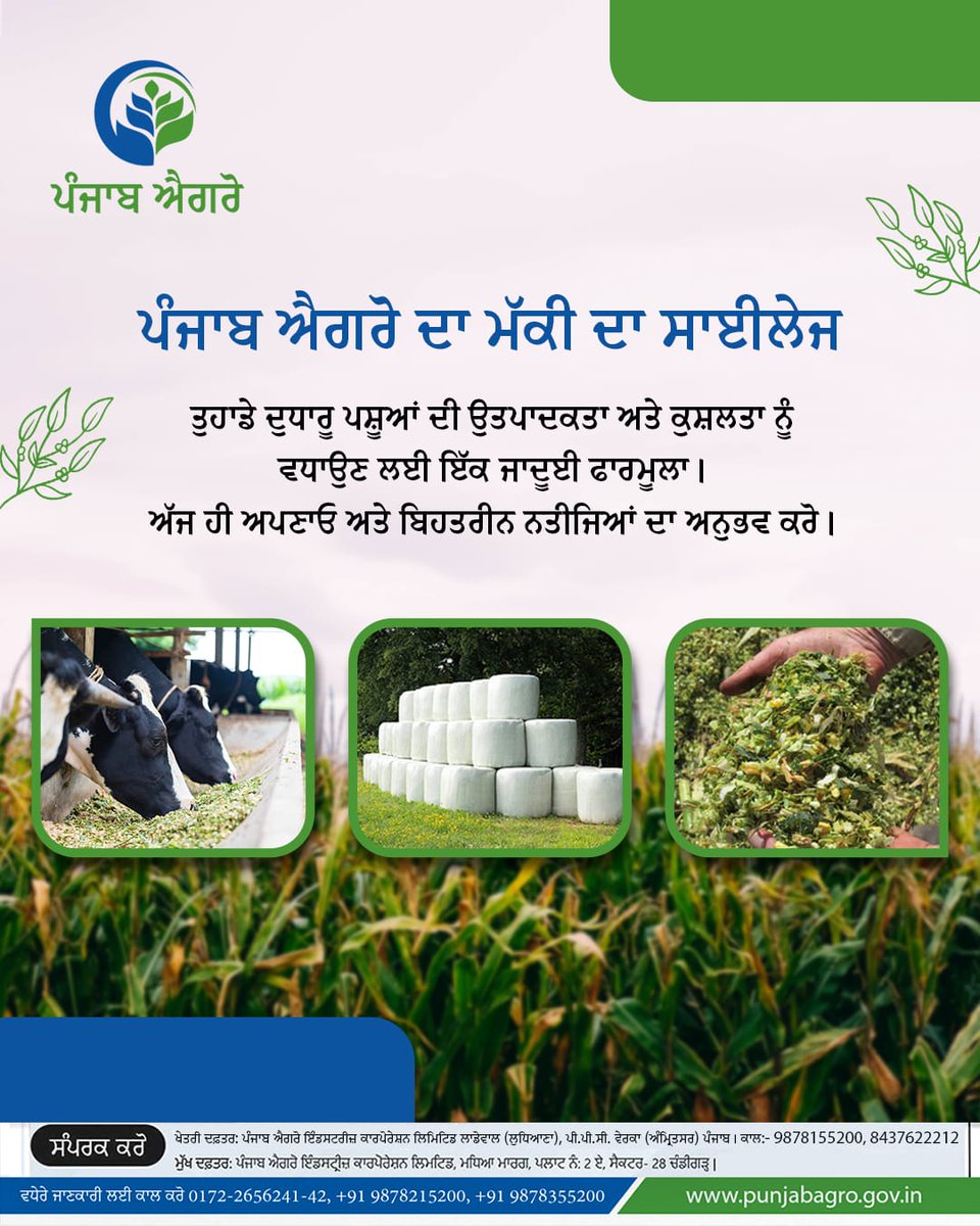 Punjab Agro (@pbagroofficial) on Twitter photo เจเฉ เจคเฉเจธเฉเจ เจเจชเจฃเฉ เจฆเฉเจงเจพเจฐเฉ เจชเจธเจผเฉเจเจ เจฒเจ เจเจฟเจซเจผเจพเจเจคเฉ เจคเฉ เจชเฉเจธเจผเจเจฟเจ เจเจนเจพเจฐ เจฒเฉฑเจญ เจฐเจนเฉ เจนเฉ?
๐ฝ เจฎเฉฑเจเฉ เจฆเจพ เจธเจพเจเจฒเฉเจ เจเจฐเฉเจฆเฉ เจชเฉฐเจเจพเจฌ เจเจเจฐเฉ เจคเฉเจ!
๐เจฒเฉเจงเจฟเจเจฃเจพ, เจซเจพเจเจผเจฟเจฒเจเจพ, เจ
เฉฐเจฎเฉเจฐเจฟเจคเจธเจฐ
0172-2656241-42 | +91 9878215200 | +91 9878355200 | +918437622212 | ๐ punjabagro.gov.in เจเฉ เจคเฉเจธเฉเจ เจเจชเจฃเฉ เจฆเฉเจงเจพเจฐเฉ เจชเจธเจผเฉเจเจ เจฒเจ เจเจฟเจซเจผเจพเจเจคเฉ เจคเฉ เจชเฉเจธเจผเจเจฟเจ เจเจนเจพเจฐ เจฒเฉฑเจญ เจฐเจนเฉ เจนเฉ?
๐ฝ เจฎเฉฑเจเฉ เจฆเจพ เจธเจพเจเจฒเฉเจ เจเจฐเฉเจฆเฉ เจชเฉฐเจเจพเจฌ เจเจเจฐเฉ เจคเฉเจ!
๐เจฒเฉเจงเจฟเจเจฃเจพ, เจซเจพเจเจผเจฟเจฒเจเจพ, เจ
เฉฐเจฎเฉเจฐเจฟเจคเจธเจฐ
0172-2656241-42 | +91 9878215200 | +91 9878355200 | +918437622212 | ๐ punjabagro.gov.in
