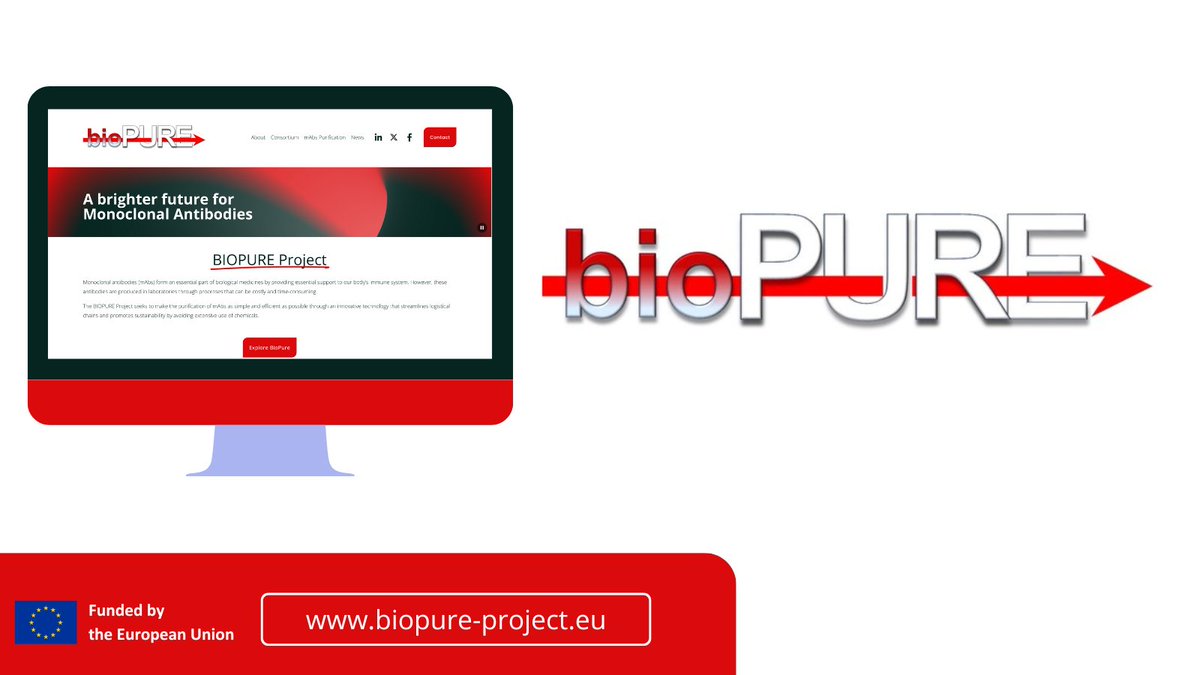 BIOPUREproject's tweet photo. 🏥 Funded under a highly competitive @EUeic Transition call, #BIOPURE’s innovation focuses on giving patients greater access to more affordable and effective next-generation biomedicines.

🔗 Learn more:
https://t.co/YkNJzmWeWm

#EU #healthcareinnovation #medtech #biotechnology https://t.co/IdOeDkhxSL
