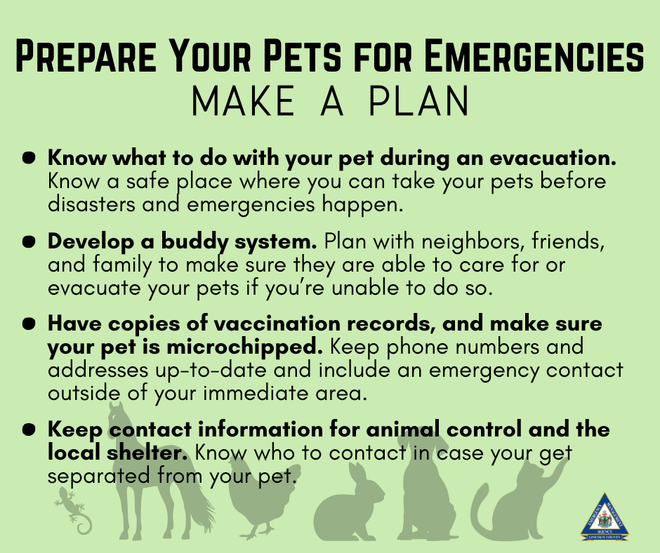 lincountyema's tweet image. You've got an emergency plan for you and your family, but what about your pets? Big or small, they deserve a plan too. 

#LNEMA #PrepareYourPetsForEmergencies #SeverWeather Awareness