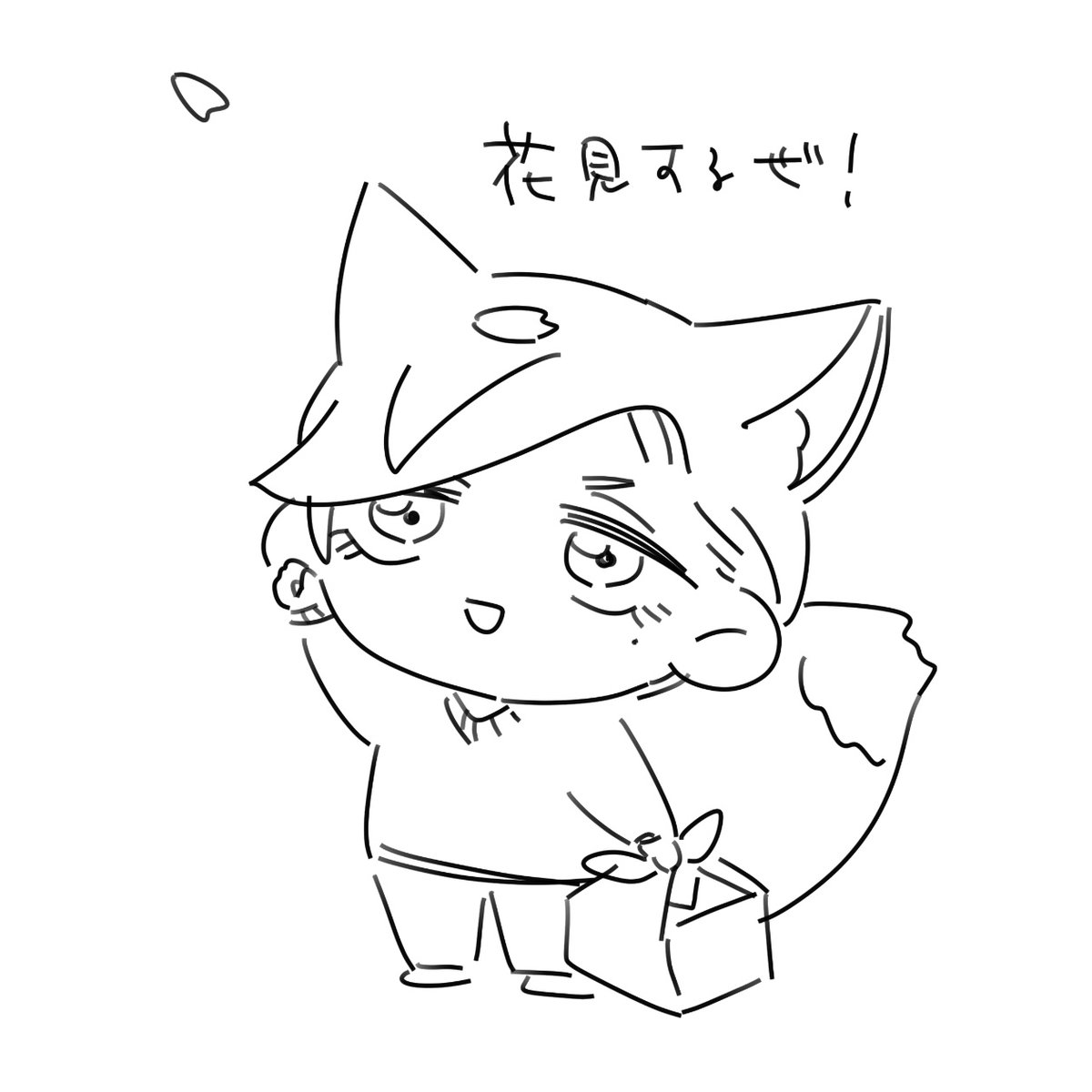最近のコャとか綿です 