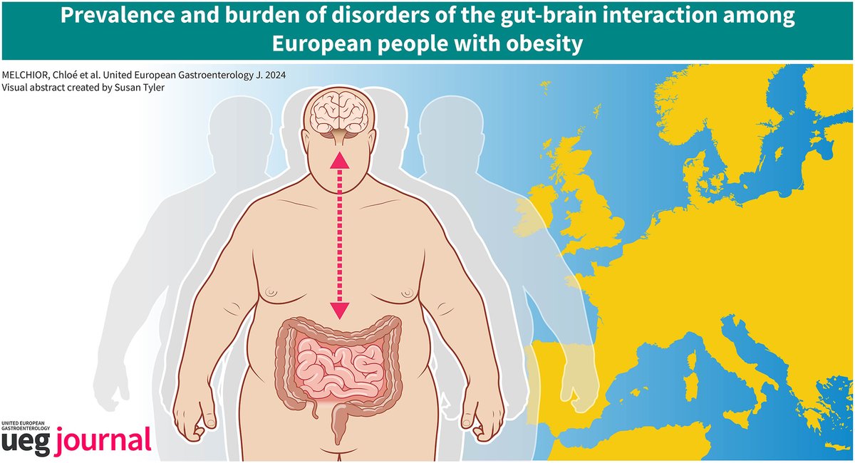 UEGJournal's tweet photo. 🔍How are gut-brain disorders (#DGBI) linked to #obesity?
In >20,000 people across 11 European countries, #DGBIs were more common in those with obesity vs normal/overweight

🧠 Also linked: psychological distress &amp; lower QoL

📖 #OpenAccess 👉 https://t.co/wByepHecSF

@my_ueg https://t.co/RD1lhxKLvA