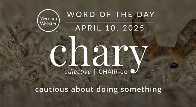 Merriam-Webster Word of the Day April 10, 2025 'chary' adjective | CHAIR-ee "cautious about doing something" Background Image: A deer blending into the grass