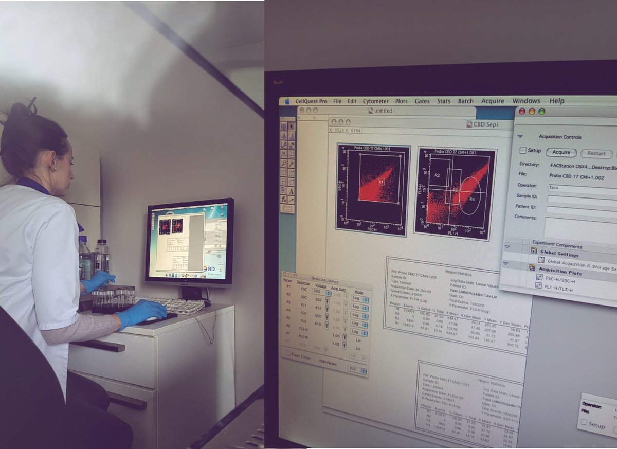 eBio_Hub's tweet photo. eBio-hub Team Evaluating using Flow Cytometry the antimicrobial mechanisms of novel lipid vesicles loaded with cannabidiol on wound-associated bacteria.#ebiohub #innovation #OpenScience #research #HorizonEU
European Research Executive Agency (REA) https://t.co/ze1UqOO5yR