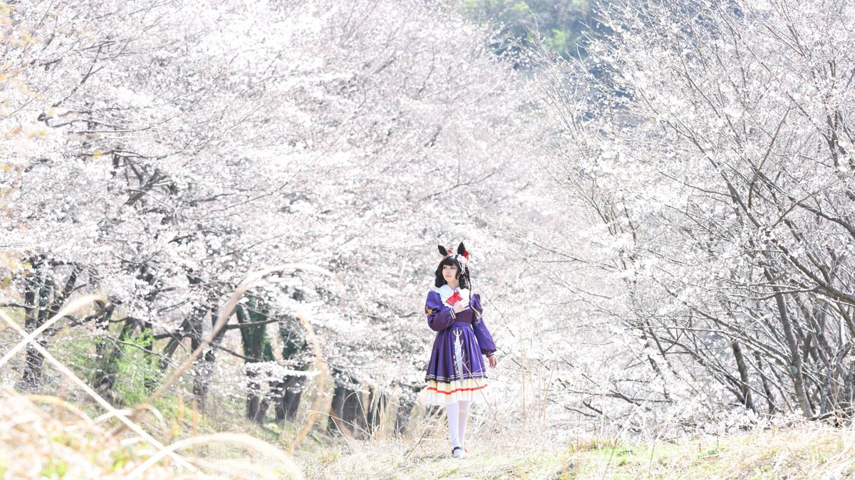 hasewo8492's tweet photo. ――――――――――――
コスプレ/cosplay
ウマ娘 ダイイチルビー
チヨ子様 @chiri_menjakk0 https://t.co/dDMSwWixdD