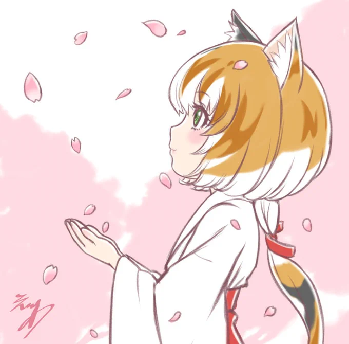 桜散るはじめまました、それもまた良い#桜 