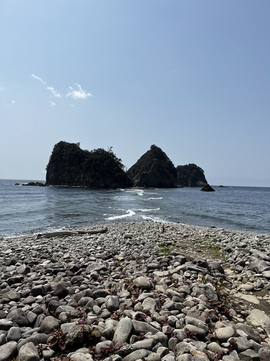 TUS_hiking's tweet photo. 伊豆キャン2日目！
伊豆の南側は風が強かったです🌬️
下田バーガーもすごい美味しかったけど、キャンプ場で作ったバーガーも美味かった🍔
#アウトドア #キャンプ #野田キャンパス #理科大 #春から理科大 https://t.co/v5PR886y5M