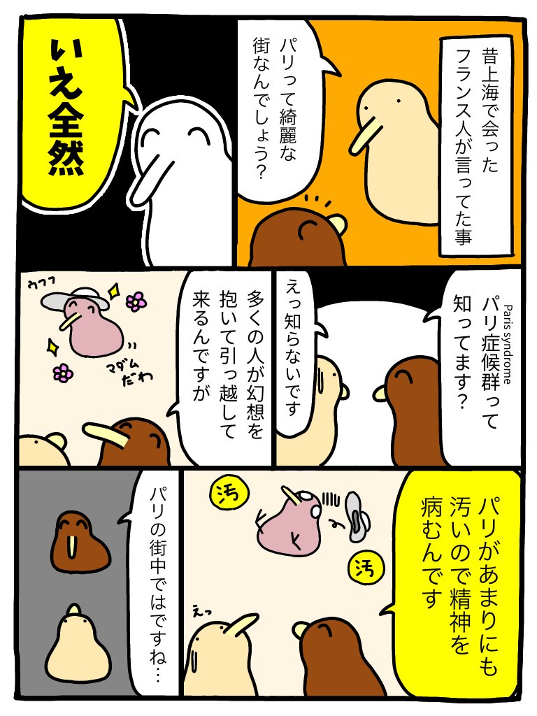 パリ症候群 (Paris syndrome) 