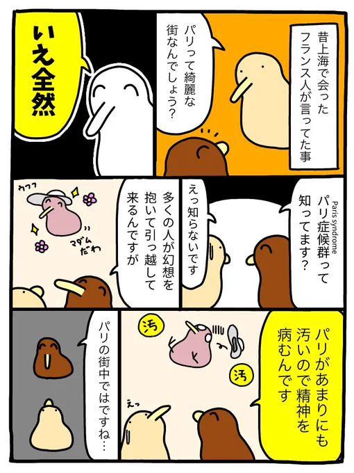 パリ症候群 (Paris syndrome) 